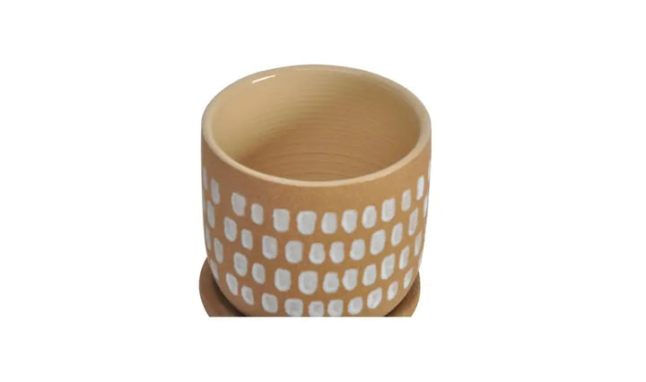 Plant Planter Small