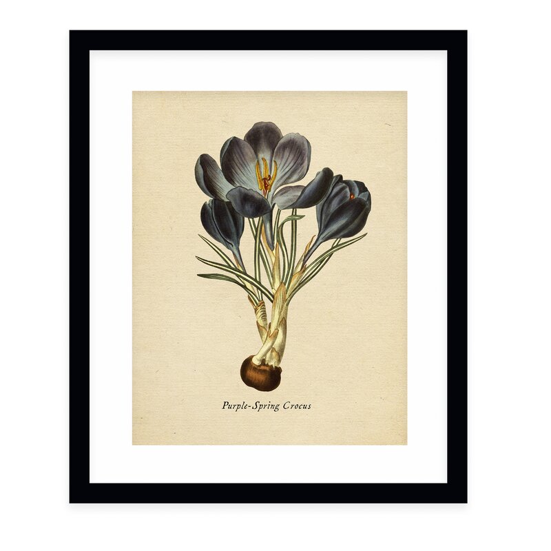 BotanicalPicture Frame Graphic Art Print on Paper