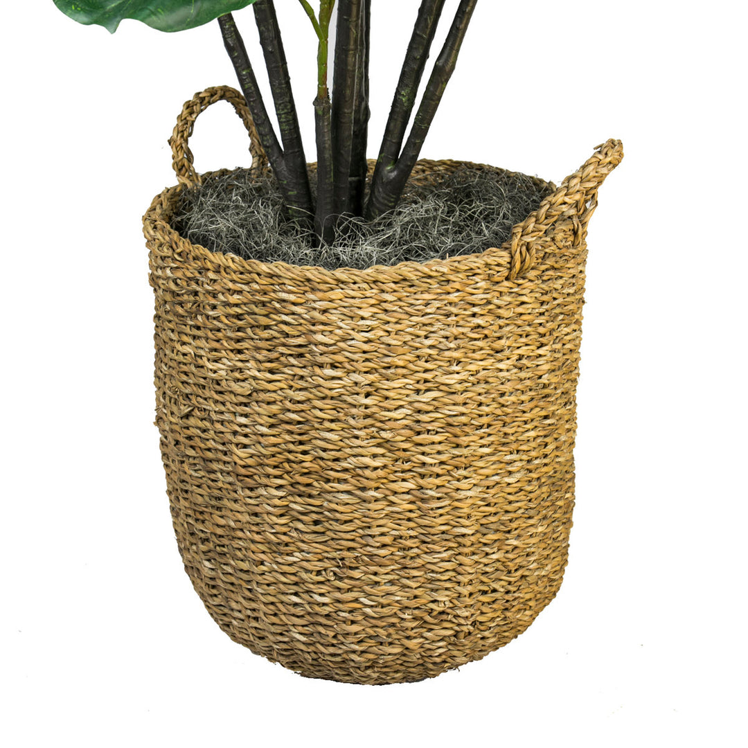 66'' Faux Fiddle Leaf Fig Tree in Wicker/Rattan Basket