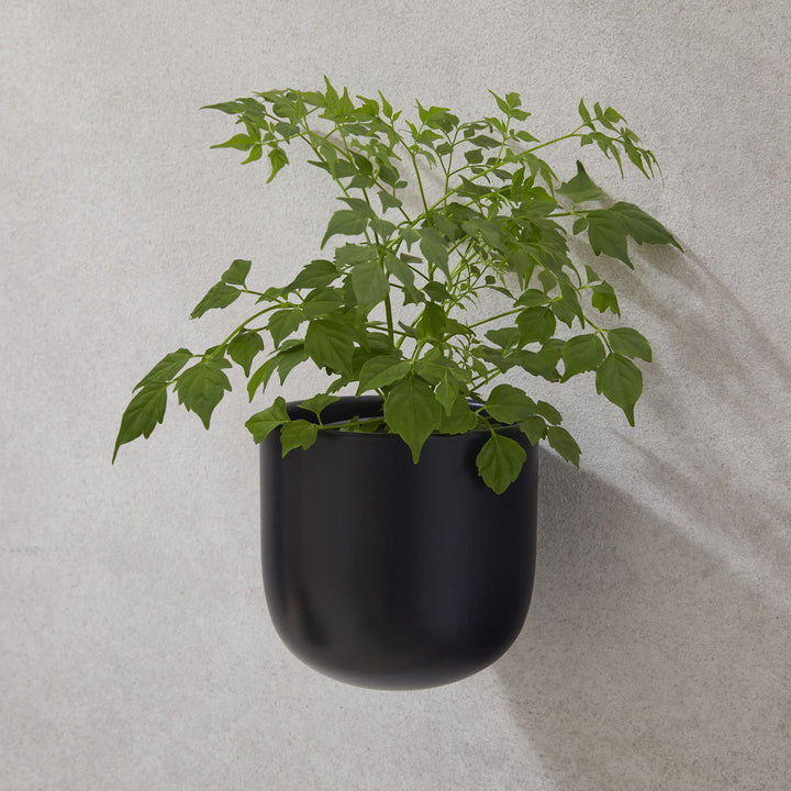 Ceramic Indoor Outdoor Wallscape Planters