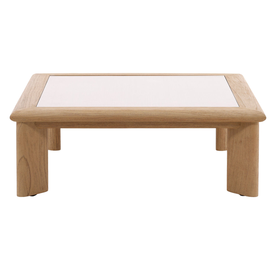 Nature's Mirror Coffee Table