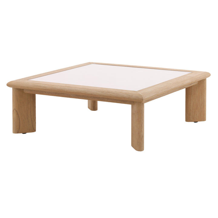 Nature's Mirror Coffee Table