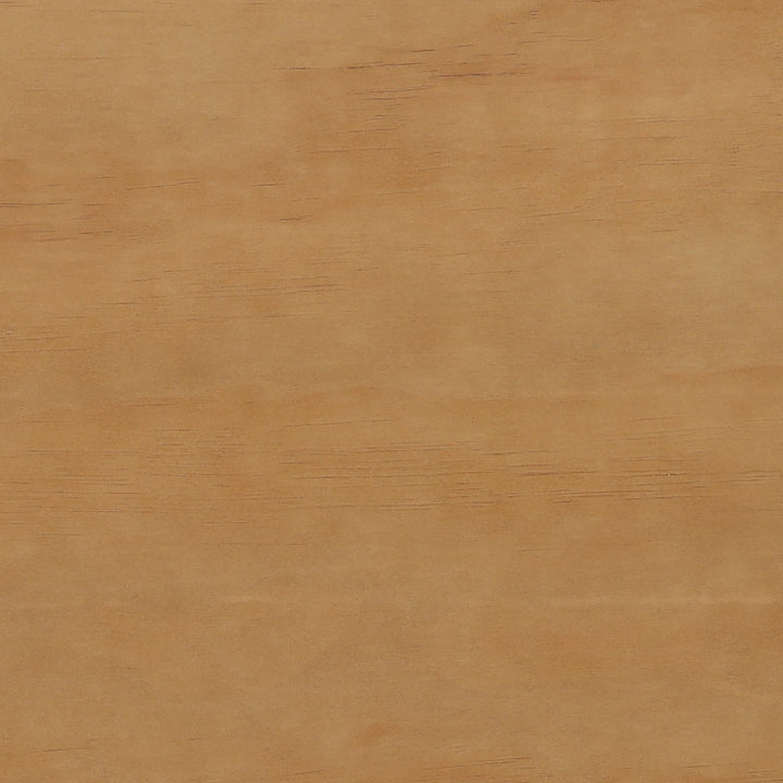 Elegant Coastal Accent Shelf in Natural Finish