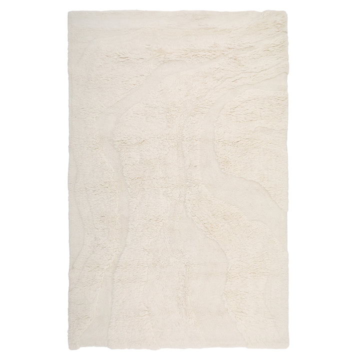 Driftwood Delight Medium Area Rug