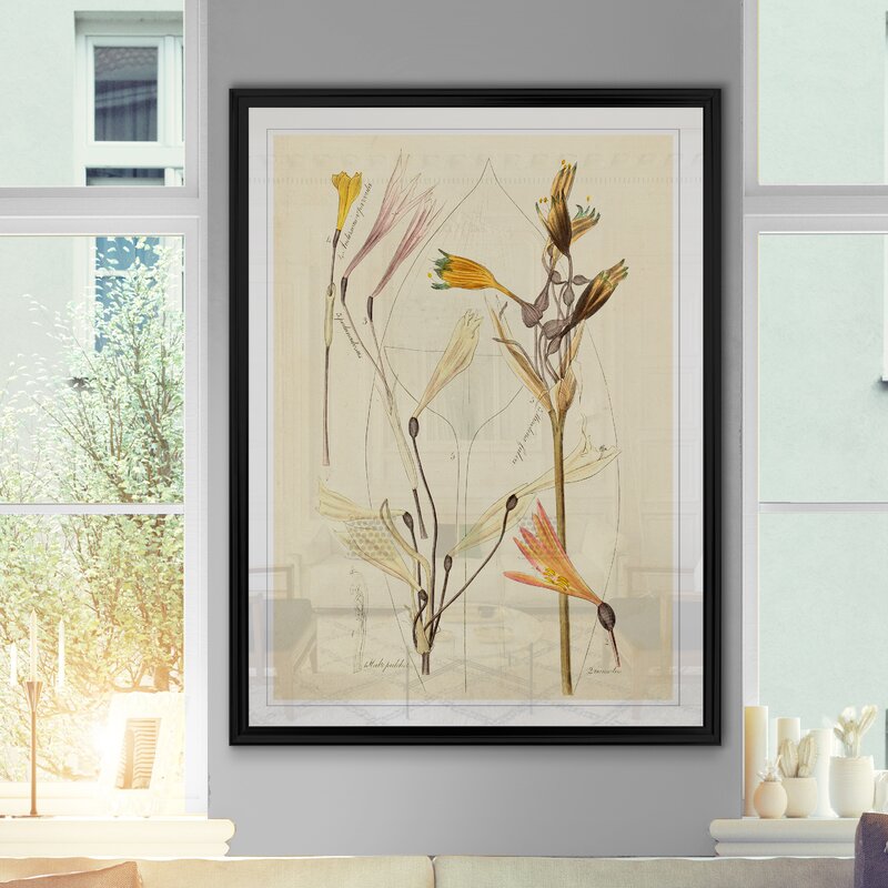 'Antique Botanical Sketch VI' Print on Canvas