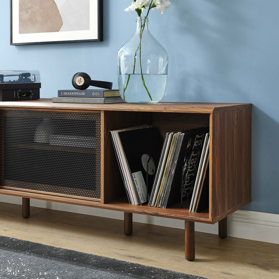 Kingston 67" TV and Vinyl Record Stand