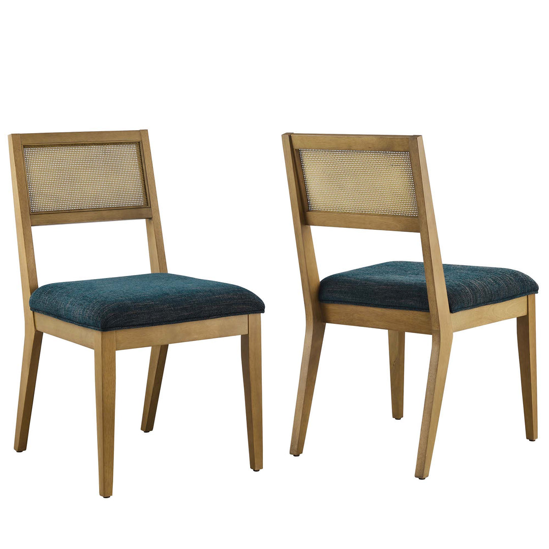 Nyla Faux Rattan Fabric Dining Chairs Set of 2