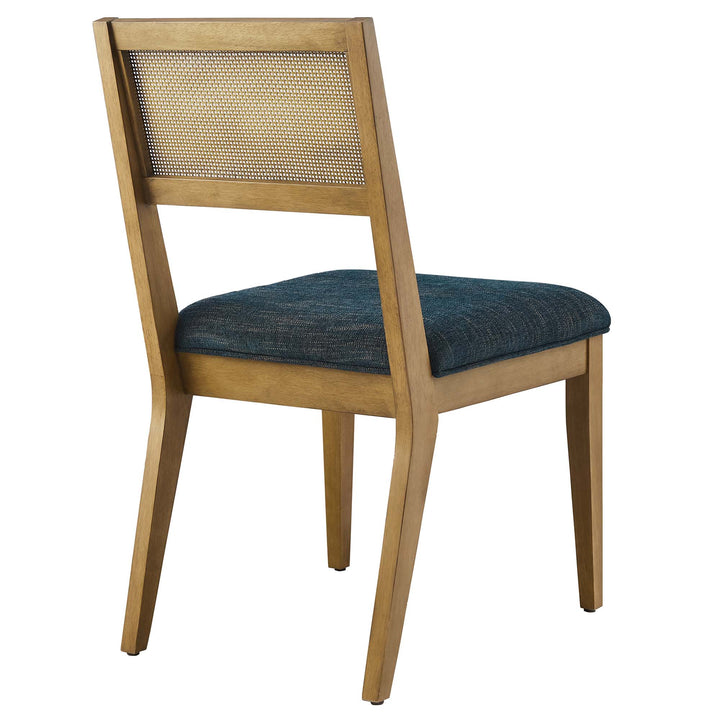 Nyla Faux Rattan Fabric Dining Chairs Set of 2