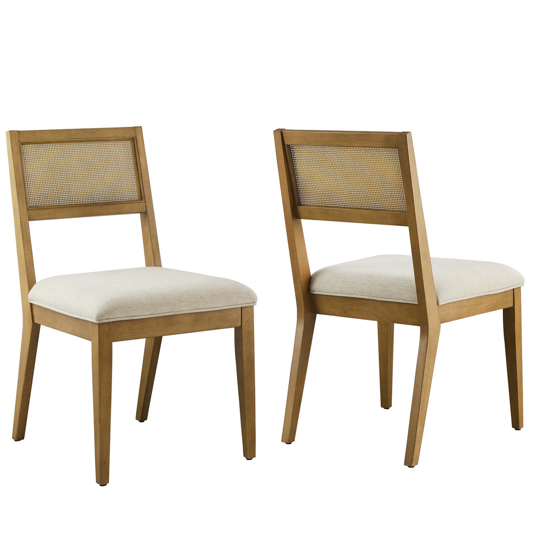 Nyla Faux Rattan Fabric Dining Chairs Set of 2