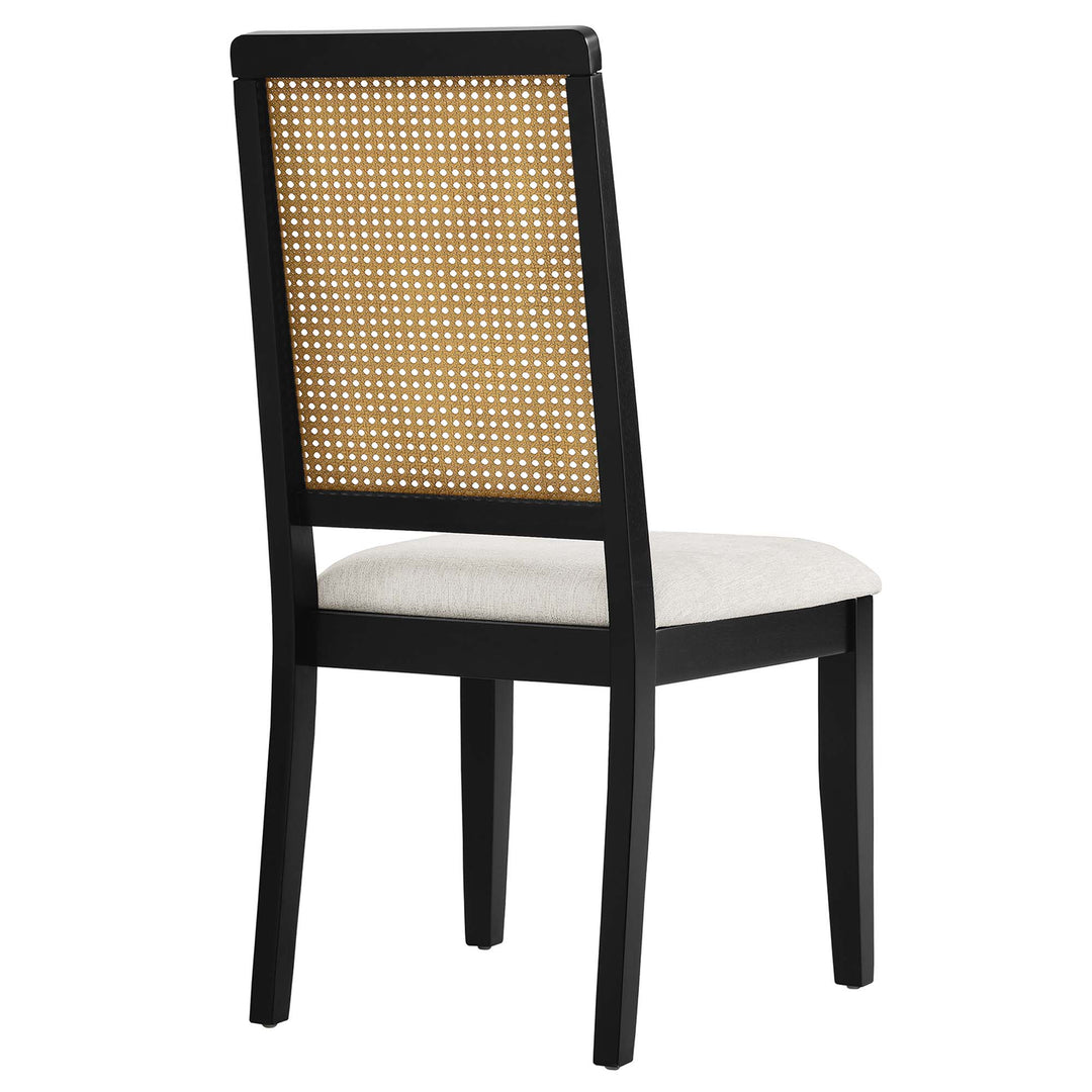 Ayla Faux Rattan and Wood Dining Side Chairs Set of 2