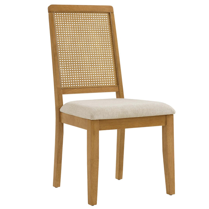 Ayla Faux Rattan and Wood Dining Side Chairs Set of 2