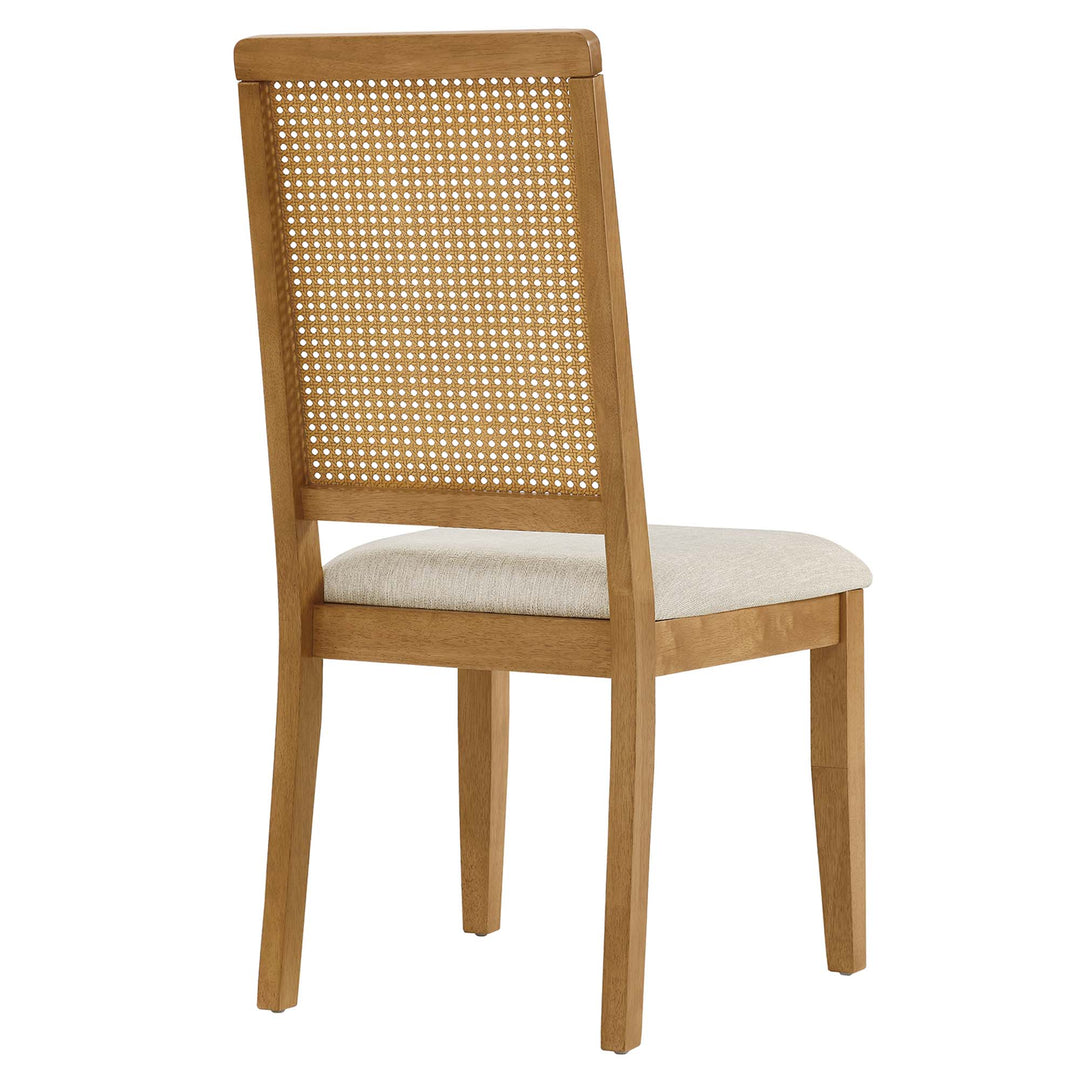 Ayla Faux Rattan and Wood Dining Side Chairs Set of 2