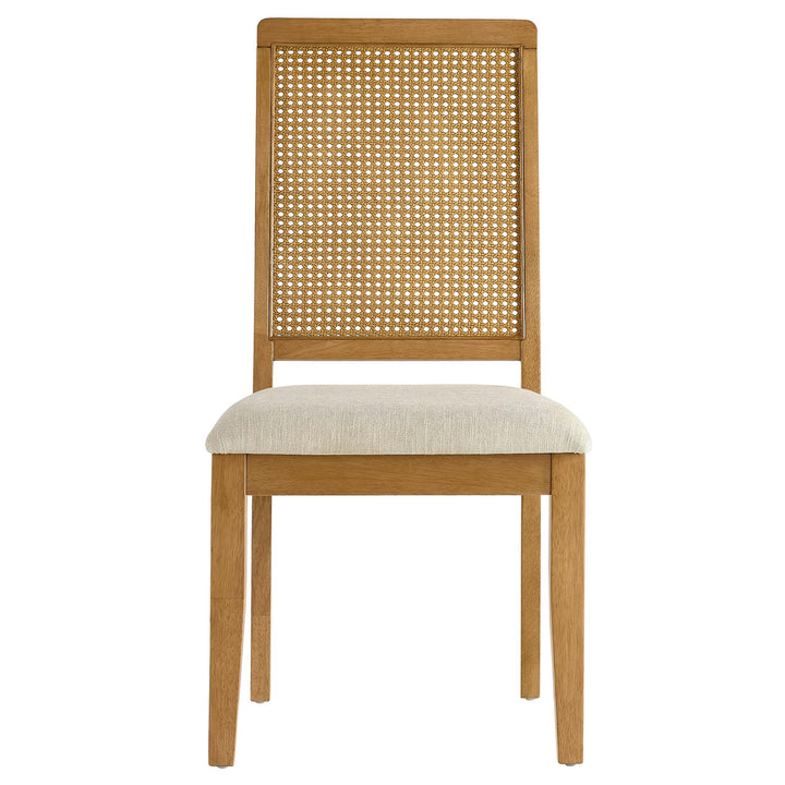 Ayla Faux Rattan and Wood Dining Side Chairs Set of 2