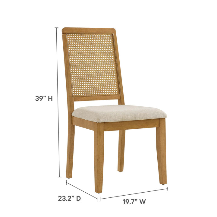 Ayla Faux Rattan and Wood Dining Side Chairs Set of 2