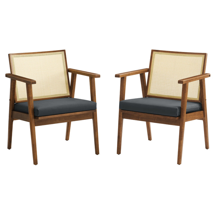 Tara Tufted Leather and Cane Accent Armchairs Set of 2