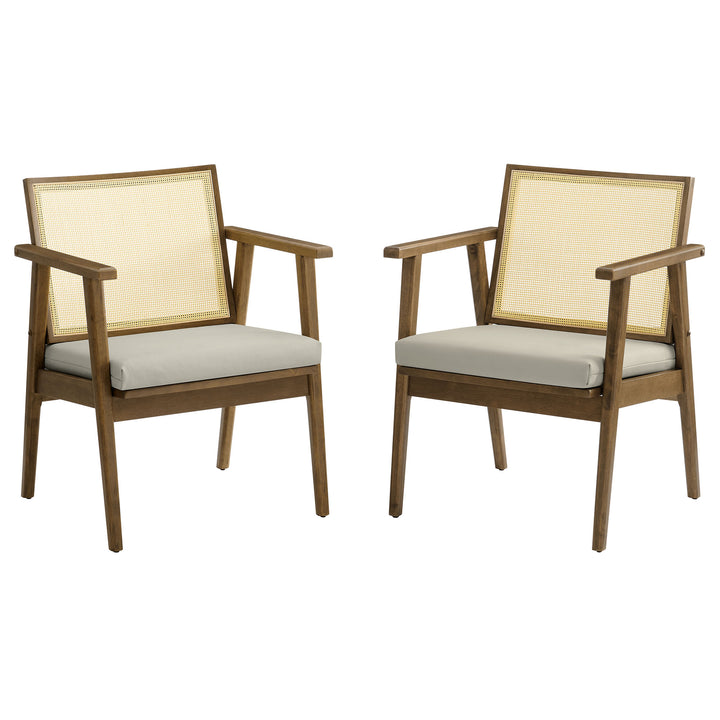 Tara Tufted Leather and Cane Accent Armchairs Set of 2