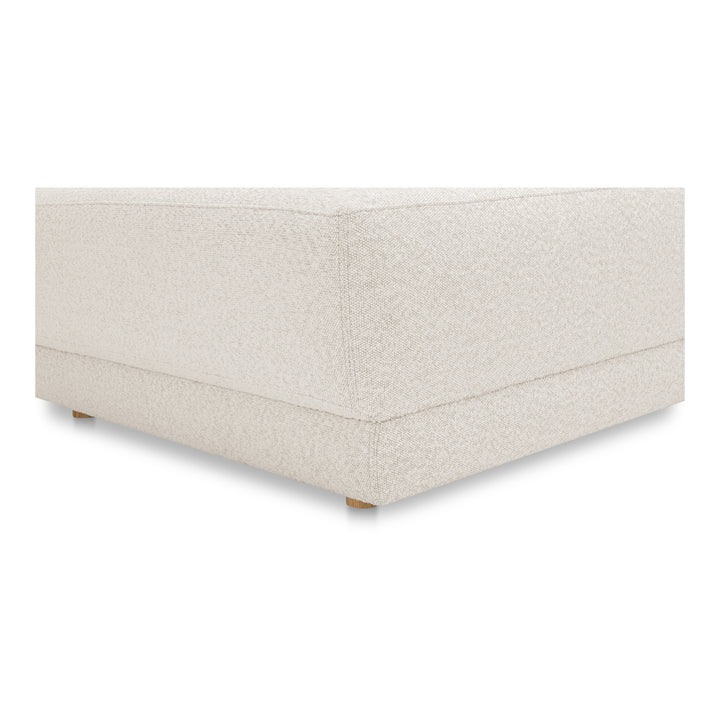 Timeless Eco-Chic Lounge Chair