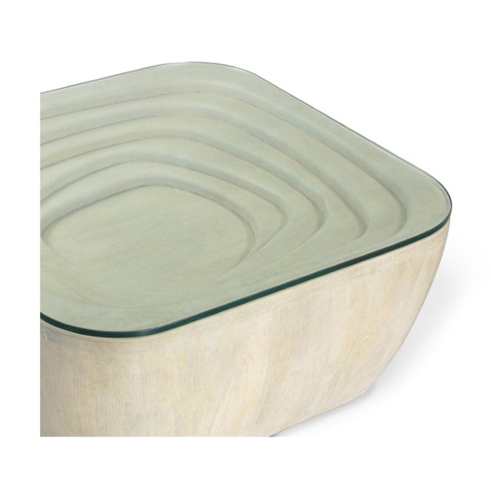 Indian-Inspired Carved Solid Wood Coffee Table