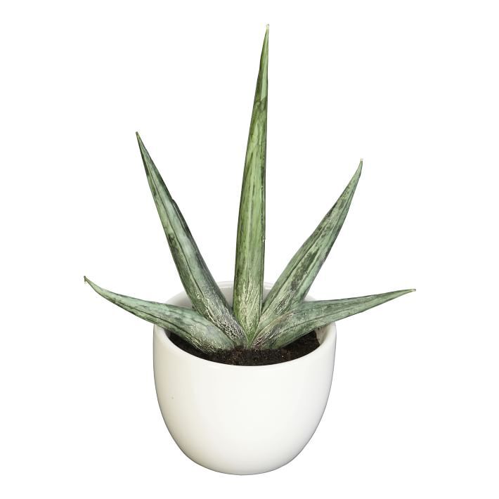 Faux Potted Southwest Plants Set of 3