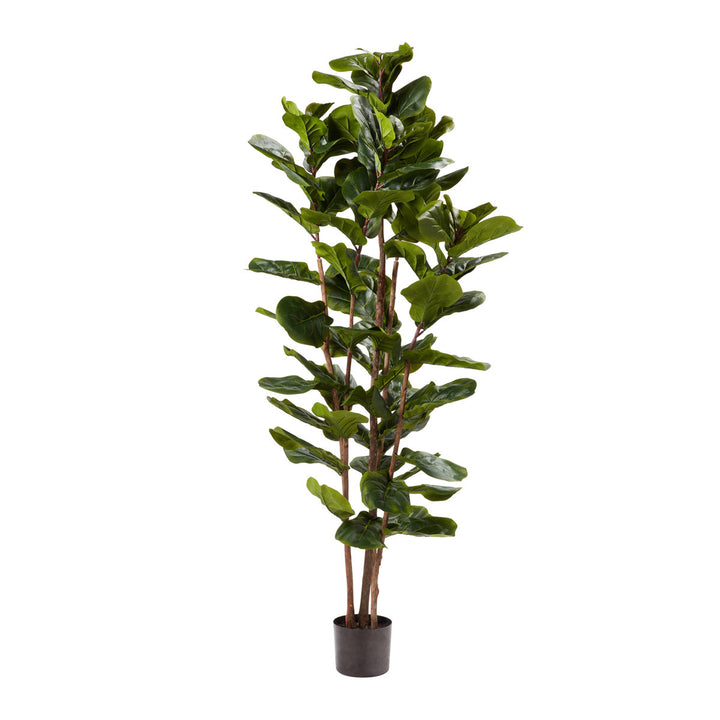 Pure Garden Artificial Fiddle Leaf Fig Tree - 6FT Fake Plant with Pot and Natural Feel Leaves for Home or Office Decor - Artificial Plants Indoor