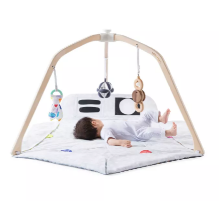 Lovevery The Play Gym