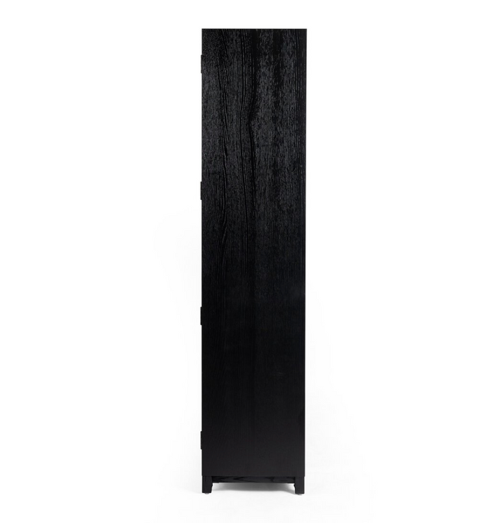 Mindi Panel and Glass Door Black Cabinet