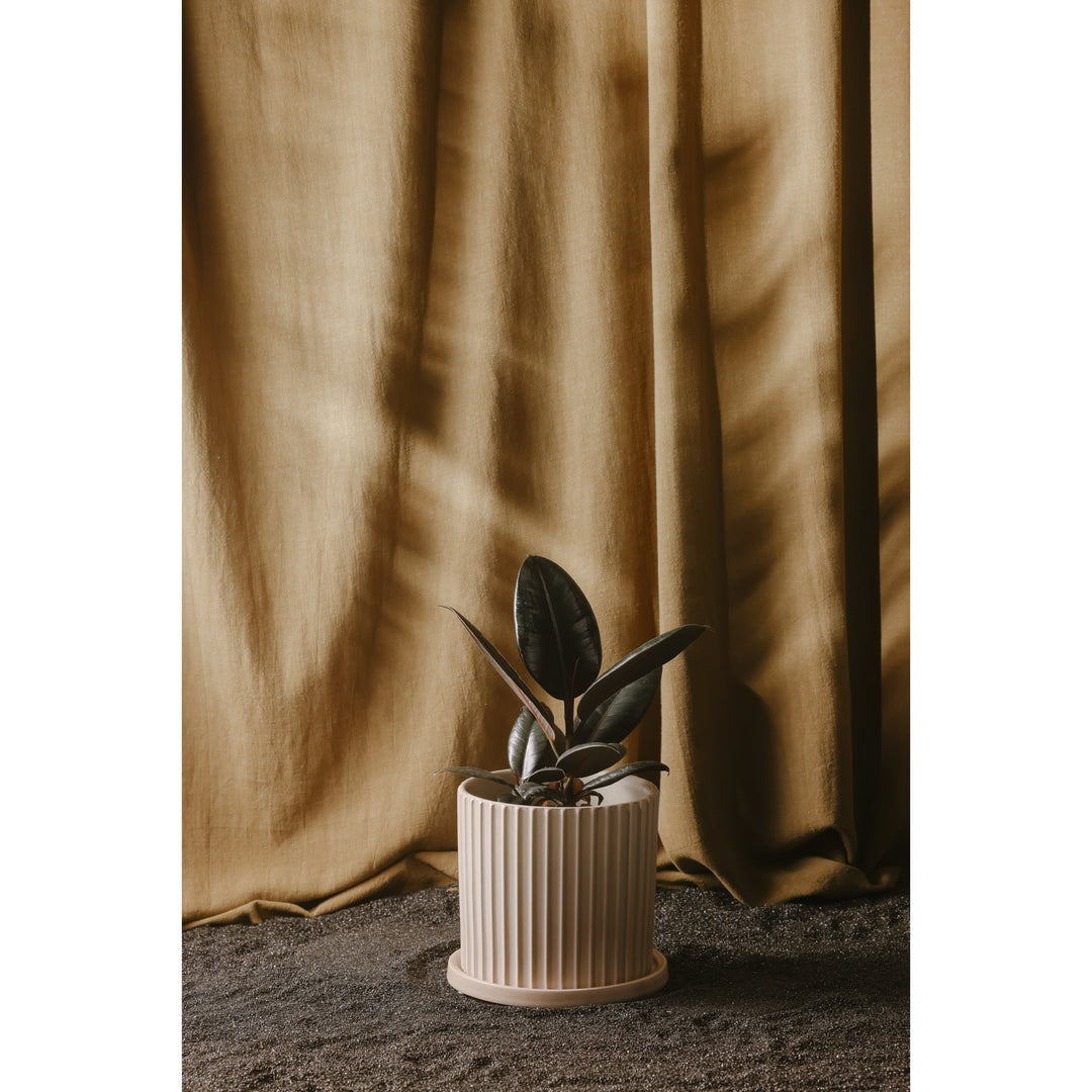 Serene Sculpted Stoneware Mini Terrarium