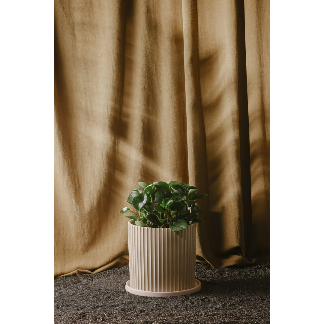 Marina Stoneware Tall Terrarium