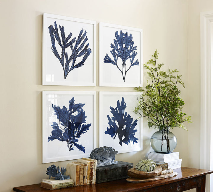 Framed Coral Print 1