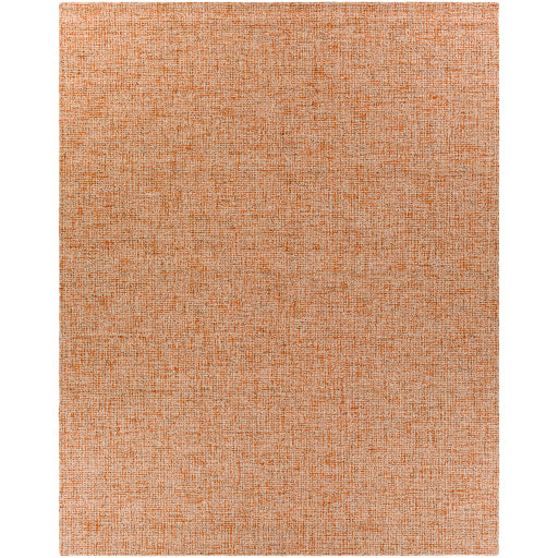 Aiden Artisan Woven Area Rug