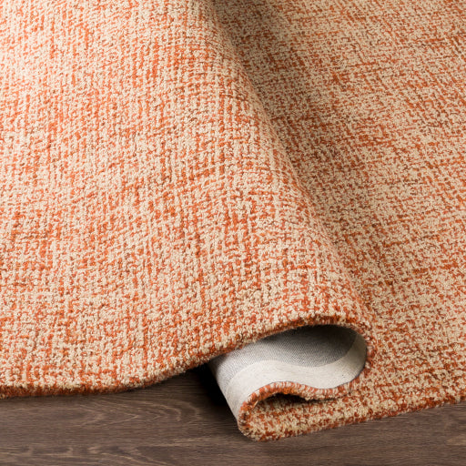 Aiden Artisan Woven Area Rug