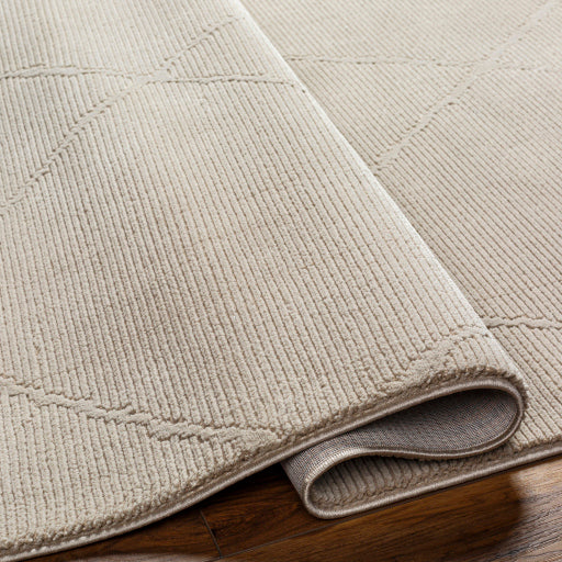 Alder Artisan Accent Rug Machine Woven