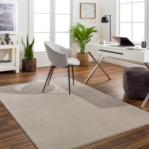 Alder Artisan Accent Rug Machine Woven