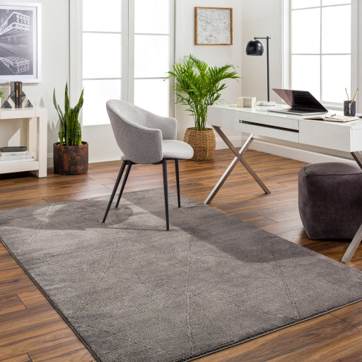 Alder Artisan Accent Rug