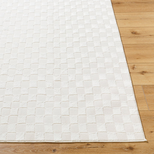 Alder Artisan Accent Rug