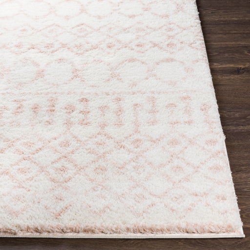 Aliyah Shag Artisan Accent Rug