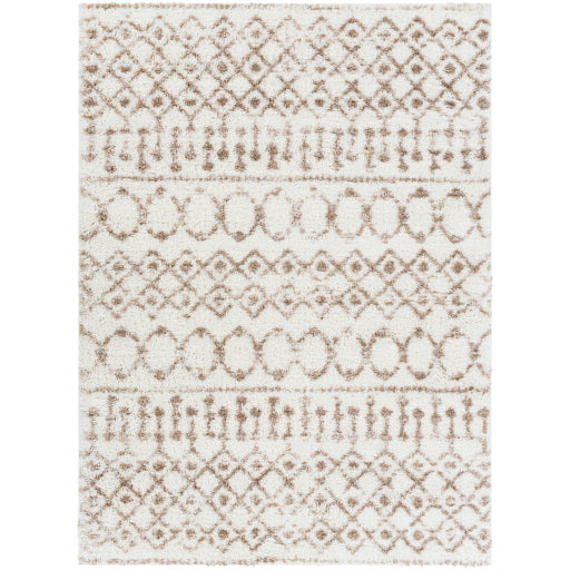 Aliyah Shag Artisan Accent Rug