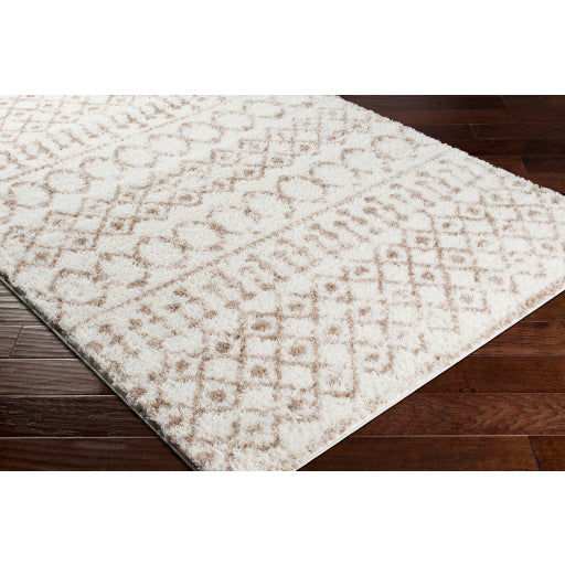 Aliyah Shag Artisan Accent Rug