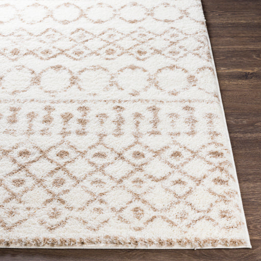 Aliyah Shag Artisan Accent Rug