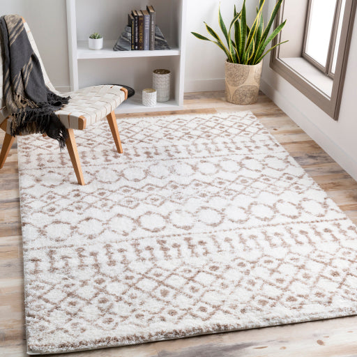 Aliyah Shag Artisan Accent Rug