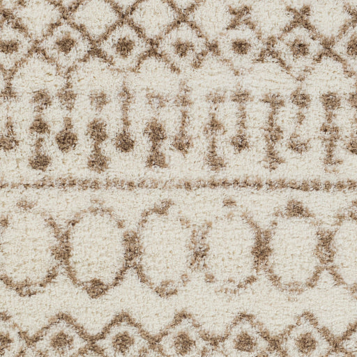 Aliyah Shag Artisan Accent Rug