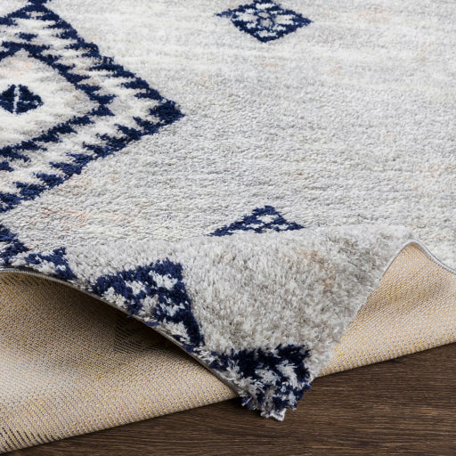 Aliyah Shimmer ALH Elegance Machine Woven Rug