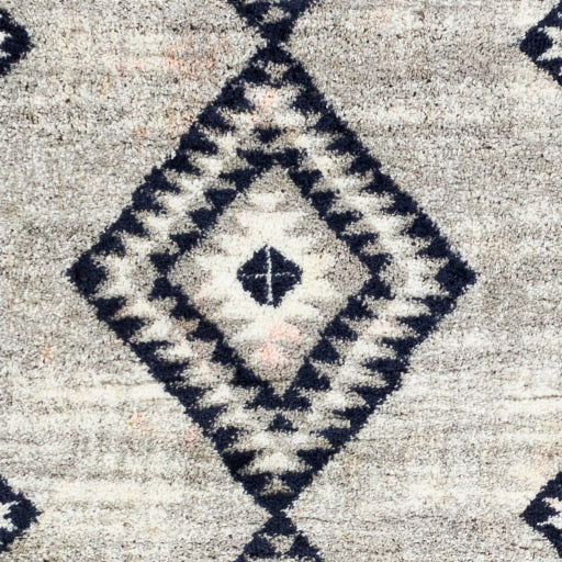 Aliyah Shimmer ALH Elegance Machine Woven Rug