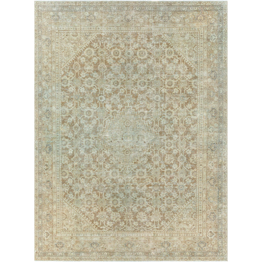 Antique One of a Kind Artisanal Aubusson Area Rug