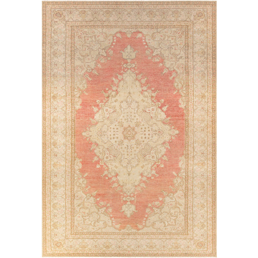 Antique One of a Kind Artisanal Aubusson Area Rug