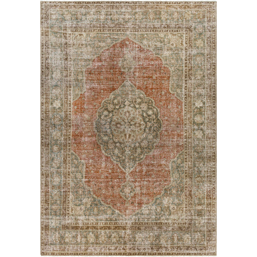 Antique One of a Kind Artisanal Aubusson Area Rug