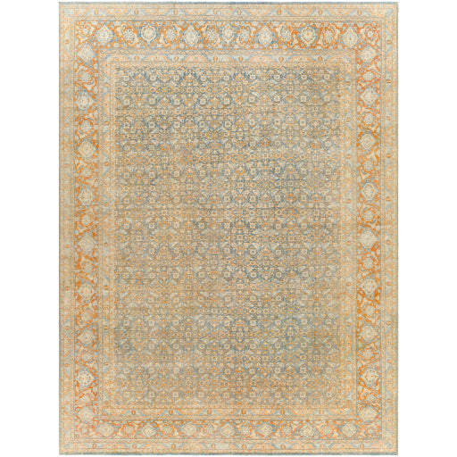 Antique One of a Kind Artisanal Aubusson Area Rug