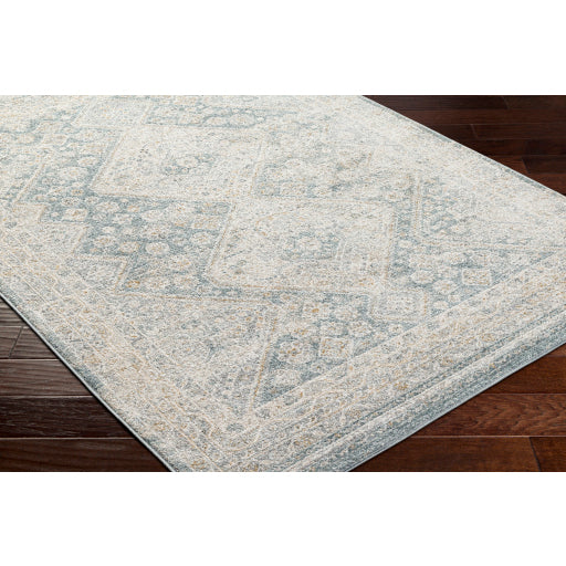 Alpharetta Artisan Woven Rug