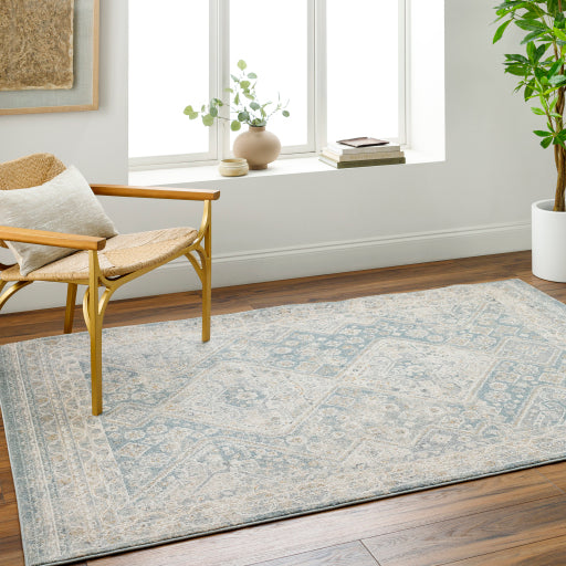 Alpharetta Artisan Woven Rug