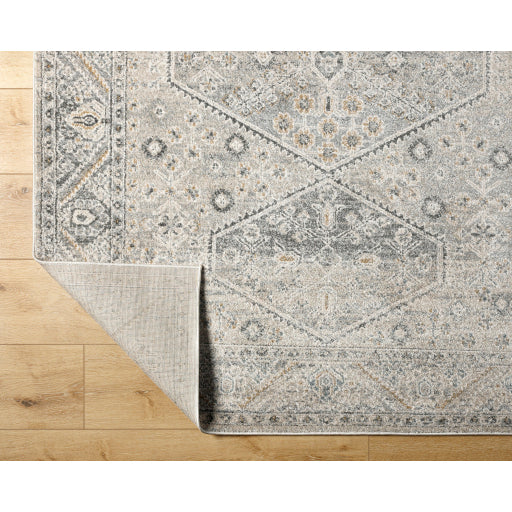 Alpharetta Artisan Abstract Rug